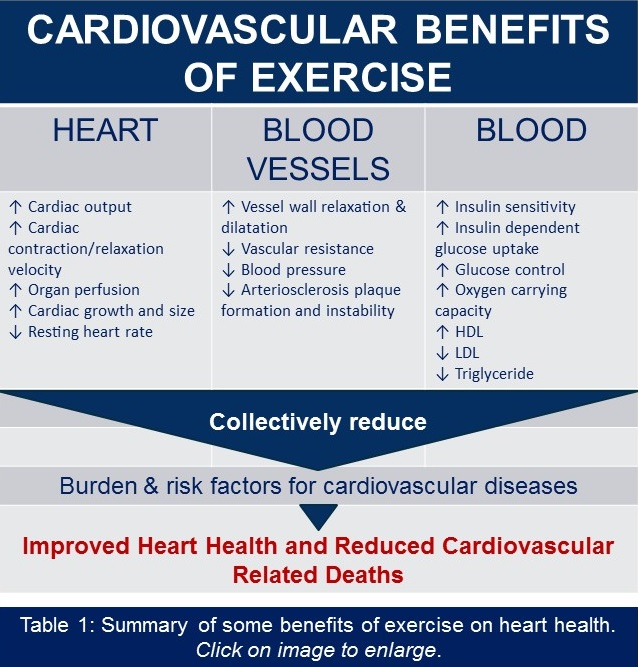 Cardio health benefits best sale